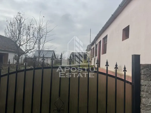 Casă 4 camere Petrovaselo - poza 3