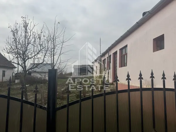 Casă 4 camere Petrovaselo - poza 4
