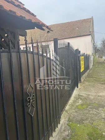 Casă 4 camere Petrovaselo - poza 5
