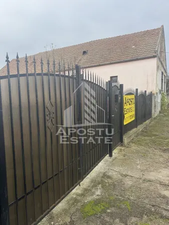 Casă 4 camere Petrovaselo - poza 6