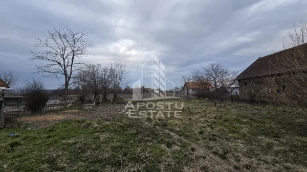 Teren Dragsina - poza 2