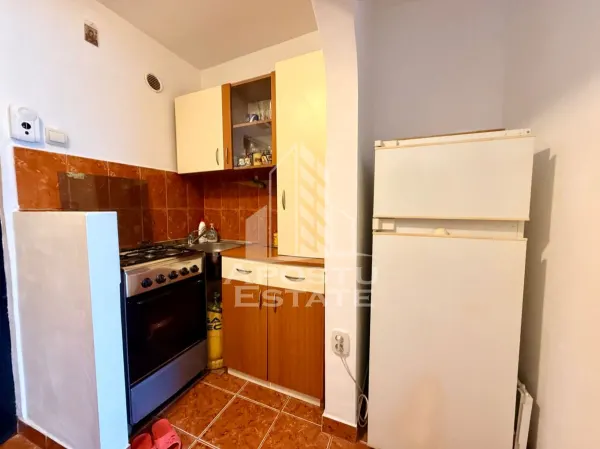 Apartament 1 camera Timișoara - poza 3