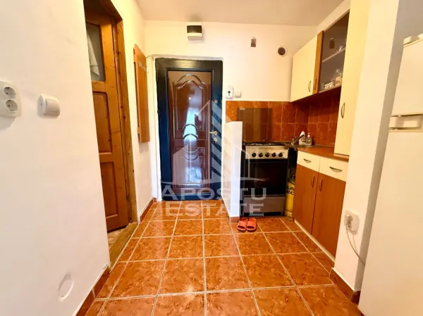 Apartament 1 camera Timișoara - poza 4