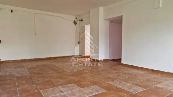 Spațiu comercial Arad - poza 14