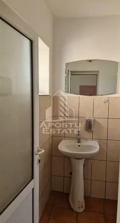 Spațiu comercial Arad - poza 23