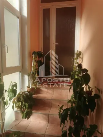 Casă 5 camere Timișoara - poza 6