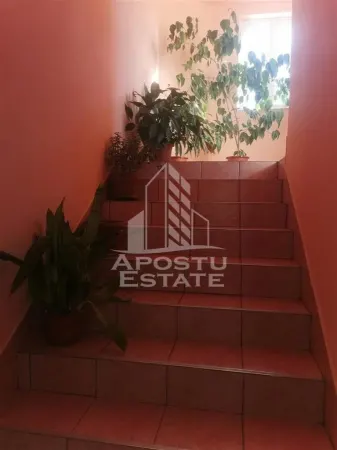 Casă 5 camere Timișoara - poza 7