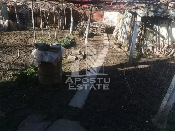 Casă 5 camere Timișoara - poza 8