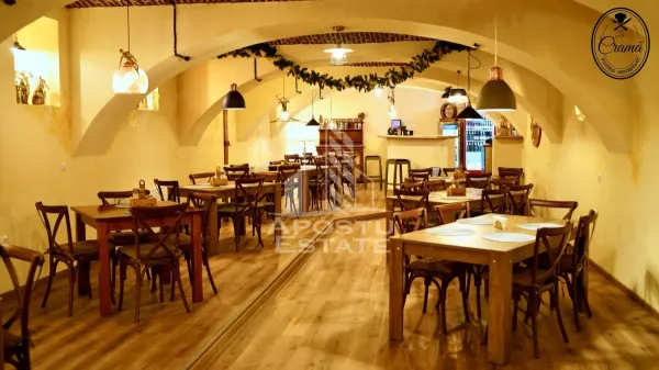 Spațiu comercial Hunedoara - poza 20