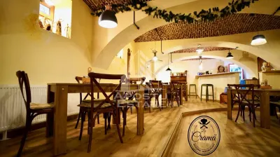 Afacere la cheie, in apropierea Castelului Corvinilor in Hunedoara - foto 6
