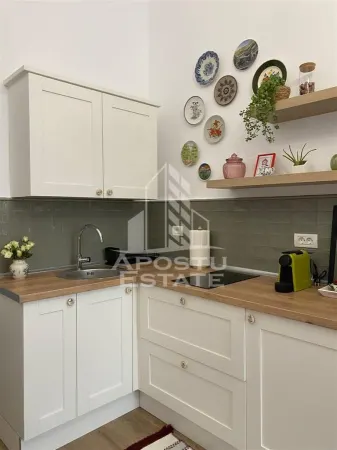 Apartament 1 camera Timișoara - poza 2