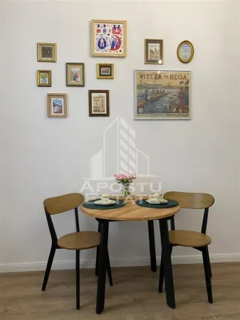 Apartament 1 camera Timișoara - poza 4
