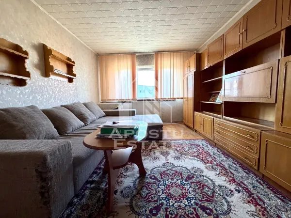 Apartament 2 camere Timișoara - poza 1