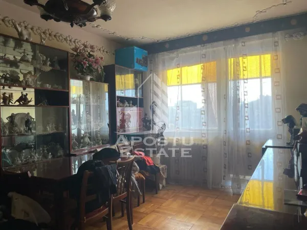 Apartament 4 camere Arad - poza 10