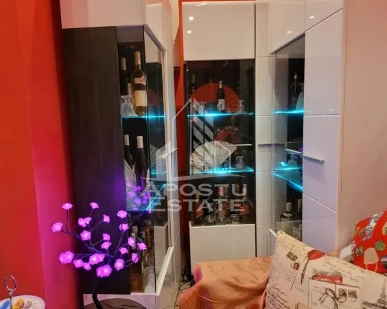Apartament 2 camere Timișoara - poza 8