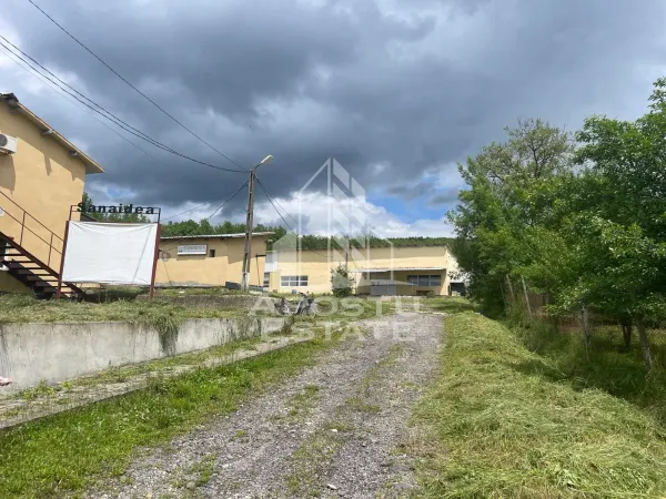 Spațiu industrial Prunisor - poza 1
