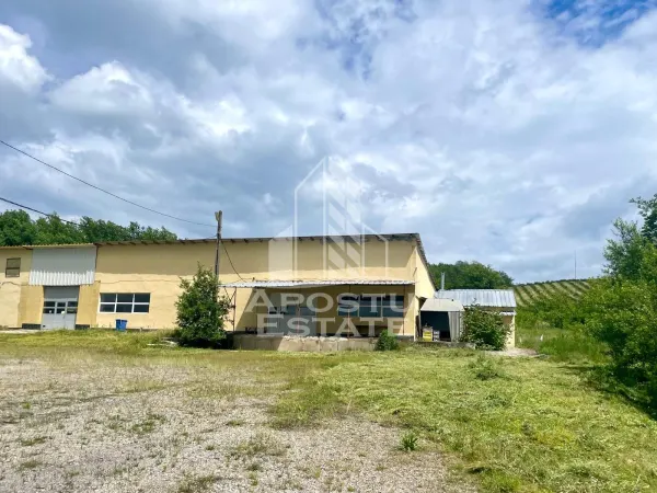 Spațiu industrial Prunisor - poza 2