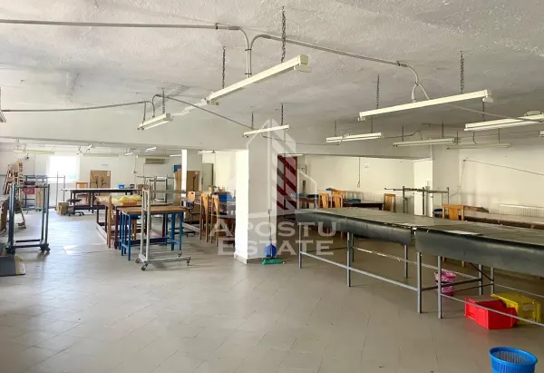 Spațiu industrial Prunisor - poza 11