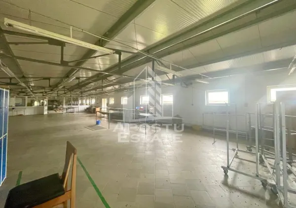 Spațiu industrial Prunisor - poza 13
