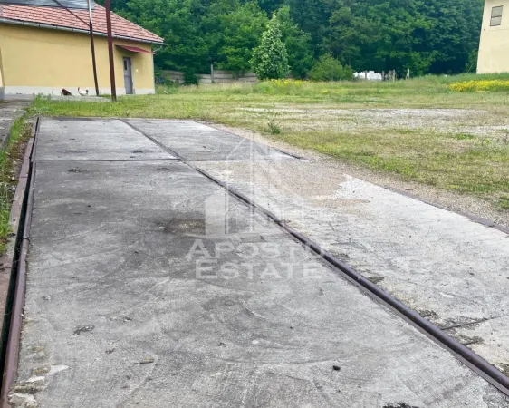 Spațiu industrial Prunisor - poza 16