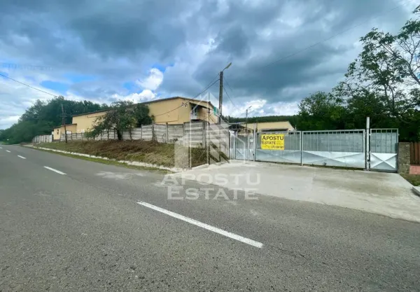 Spațiu industrial Prunisor - poza 24