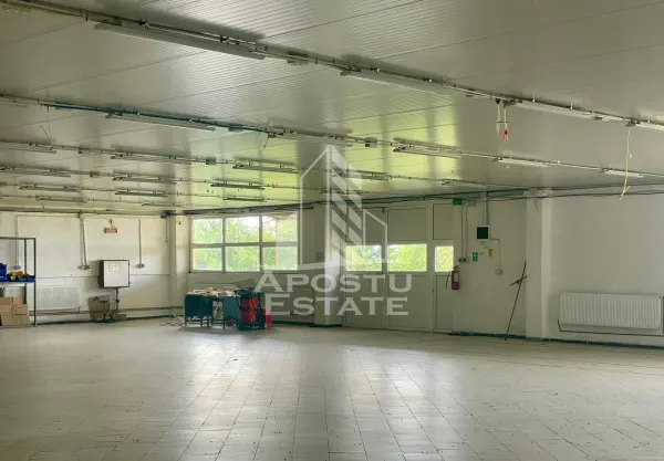 Spațiu industrial Prunisor - poza 6