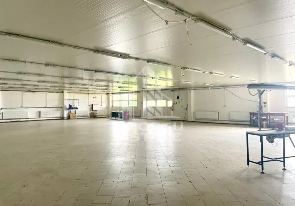 Spațiu industrial Prunisor - poza 7