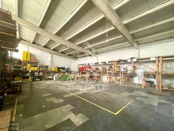 Spațiu industrial Prunisor - poza 8
