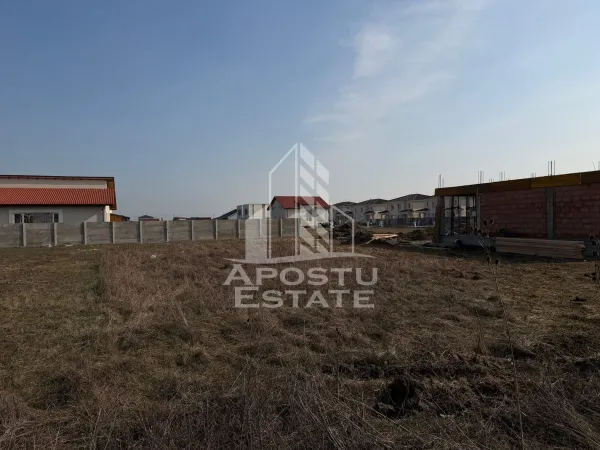 Teren Moșnița Nouă - poza 2