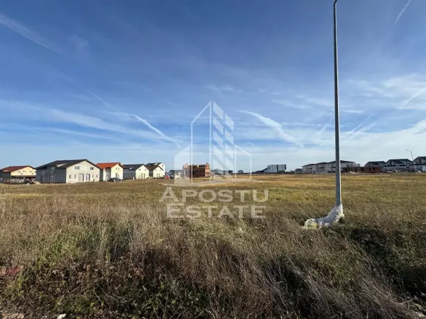 Teren Moșnița Nouă - poza 3