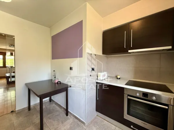 Apartament 4 camere Timișoara - poza 10