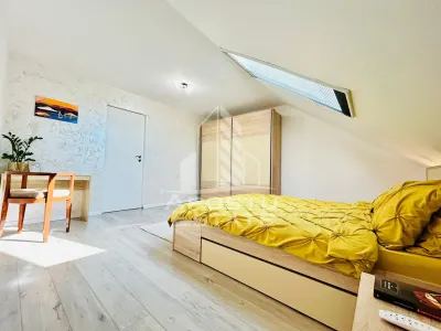 Casa 6 camere ideala pentru locuinta si afacere,zona Lunei - foto 7