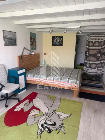 Casă 2 camere Timișoara - poza 3
