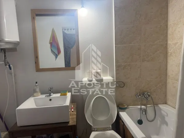 Casă 2 camere Timișoara - poza 4