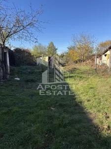 Casa veche in Recas cu teren generos de 1438 mp - foto 2