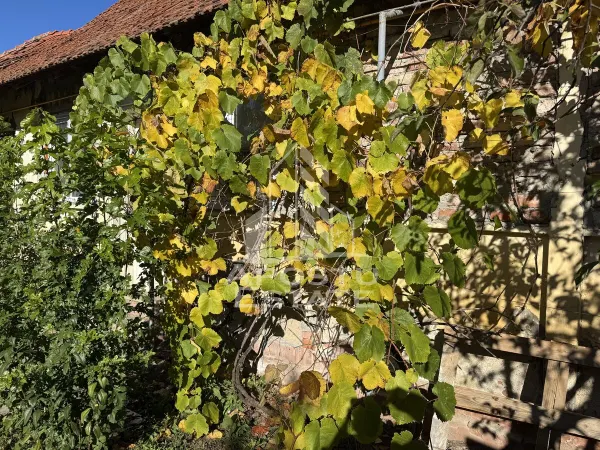 Casă 2 camere Recas - poza 3