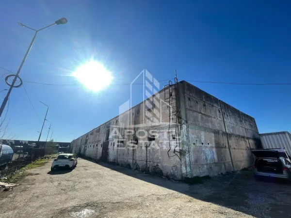 Spațiu industrial Dumbrăvița - poza 1