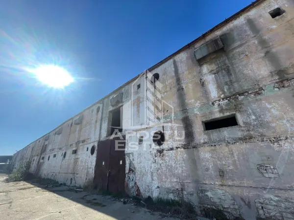 Spațiu industrial Dumbrăvița - poza 2