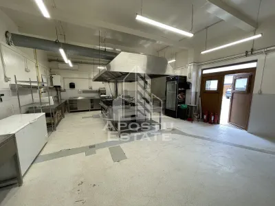 Spatiu comercial avizat DSV,  bucatarie utilata, Girocului. - Timisoara