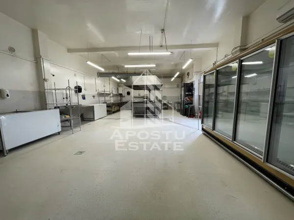 Spațiu comercial Timișoara - poza 2