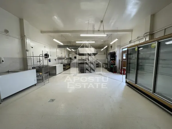 Spațiu comercial Timișoara - poza 4