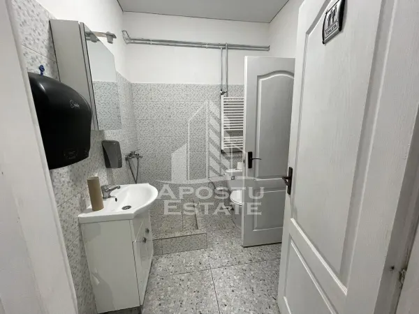 Spațiu comercial Timișoara - poza 7