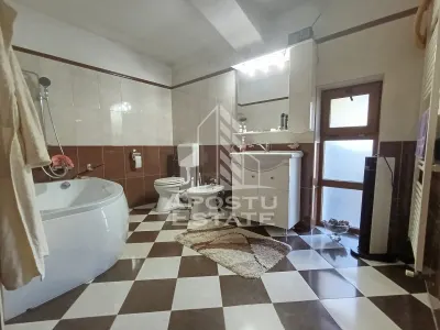 Casa Individuala impresionanta, curte bine amenajata, zona Semicentral - foto 15