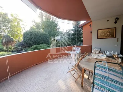 Casa Individuala impresionanta, curte bine amenajata, zona Semicentral - foto 4