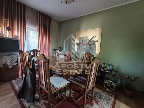 Casă 9 camere Timișoara - poza 9