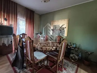 Casa Individuala impresionanta, curte bine amenajata, zona Semicentral - foto 9