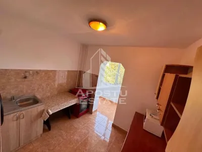 Apartament 2 camere de vanzare, zona Lipovei, Timisoara - foto 5
