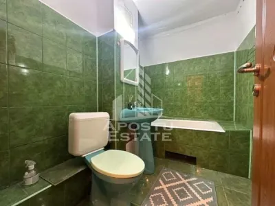 Apartament 2 camere de vanzare, zona Lipovei, Timisoara - foto 9