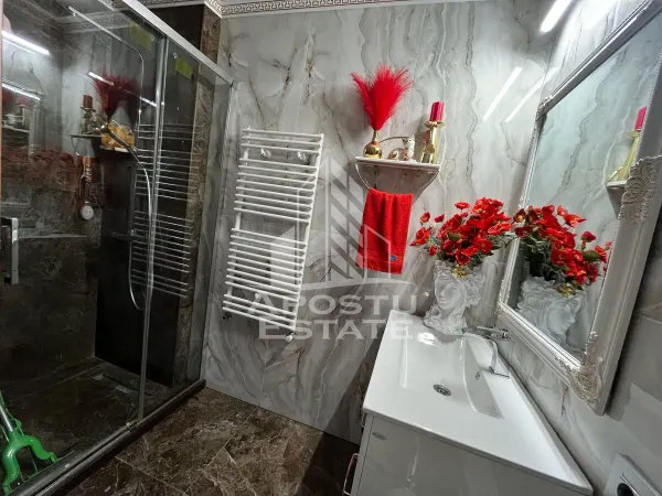 Apartament 1 camera Timișoara - poza 5