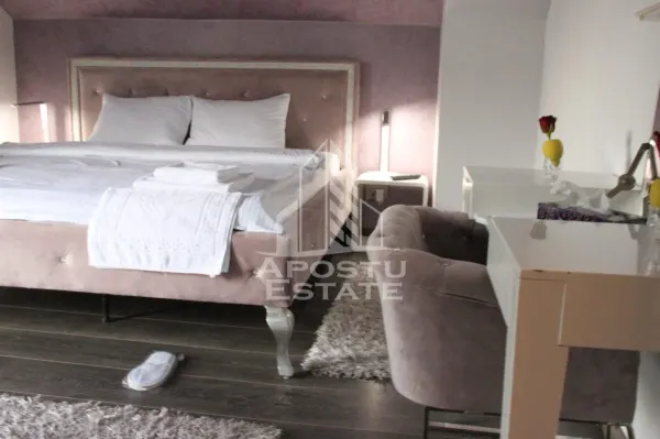 Casă 7 camere Timișoara - poza 18